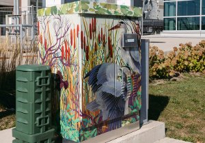 Traffic signal cabinet box wrap design is a depicts a heron. The backdrop is a vibrant display of cattails against a blue sky, with the heron’s feathers shimmering in hues of gold, brown, and purple. 