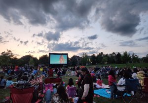 Large crowd sitting in a park watching a movie on a large projector screen.
