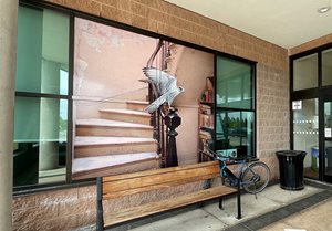 Birds and staircase vinyl mural by Maureen O'Connor on the Iroquois Ridge Community Centre windows