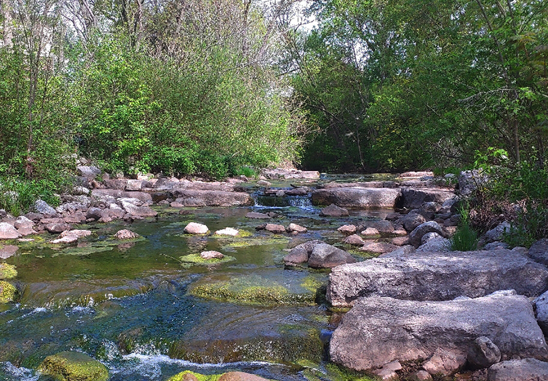 Fourteen Mile Creek