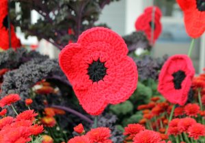 A closer look at one of the poppies on display.