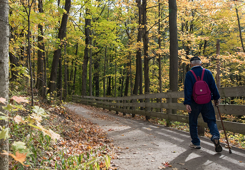 Senior walking with a cane on an accessible trail in Oakville.